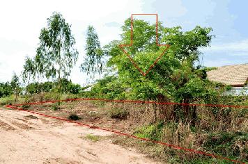 ขายที่ดินใกล้แยกอินโดจีน จังหวัดพิษณุโลก ขนาด 200 ตารางวา ถมแล้ว โทร 082-404-8483